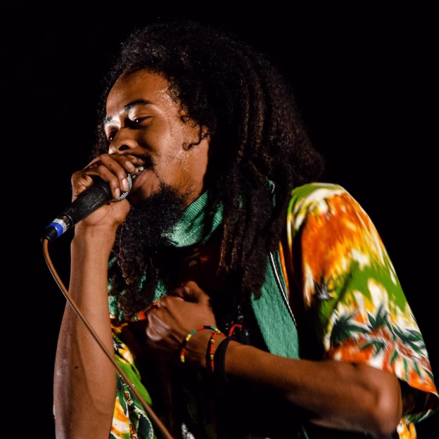 Jah Roots Collective en concert avec clavier et chanteur